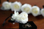 rose-buttonholes